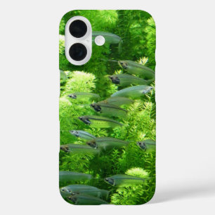 Shoal of Transparent Silver Fish iPhone 16 Hoesje