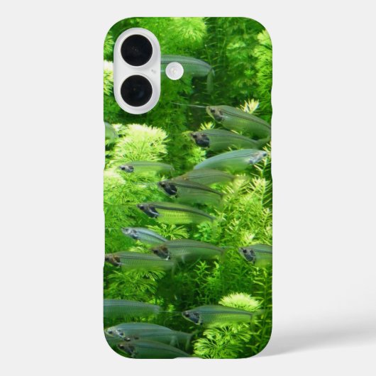 Shoal of Transparent Silver Fish Case-Mate iPhone Case (Achterkant)