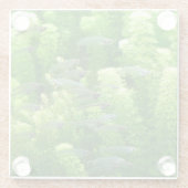 Shoal of Transparent Silver Fish Glazen Onderzetter (Achterkant)