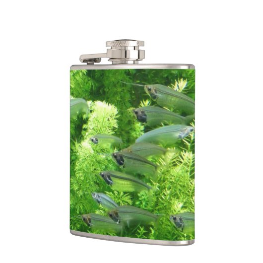 Shoal of Transparent Silver Fish Heupfles (Links)