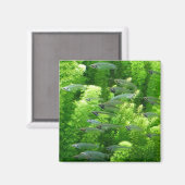 Shoal of Transparent Silver Fish Magneet (Voorkant / Achterkant)