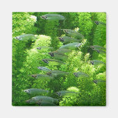Shoal of Transparent Silver Fish Magneet (Voorkant)