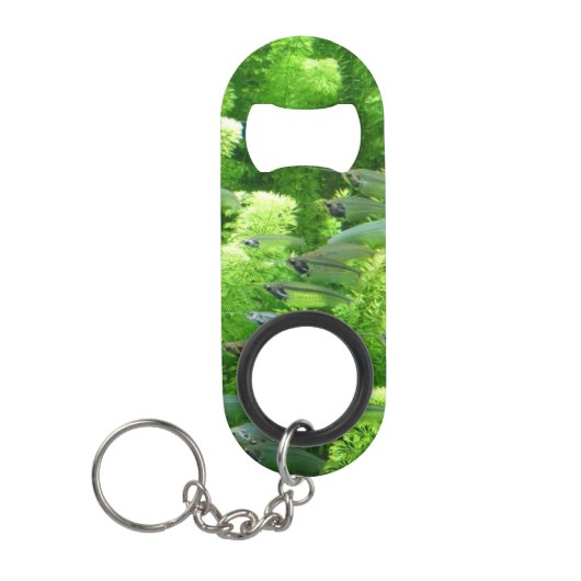 Shoal of Transparent Silver Fish Mini Flessenopener (Voorkant)