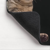 Shocked Cat Meme-Muismat Muismat (Hoek)