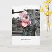 Shocked Chicken - Funny Hen Verjaardag Kaart (Gele Bloem)