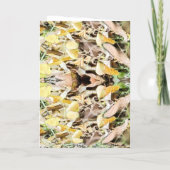 Shocked squirrel Birthday   Kaart (Achterkant)