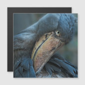 Shoebill (Voorkant / Achterkant)