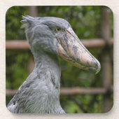 Shoebill (Balaeniceps rex) Bier Onderzetter (Voorkant)