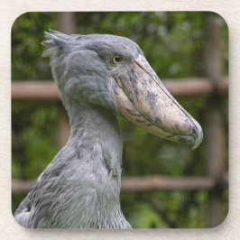 Shoebill (Balaeniceps rex) Bier Onderzetter