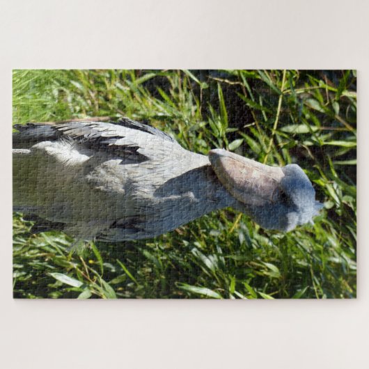 Shoebill (Balaeniceps rex) Legpuzzel (Horizontaal)