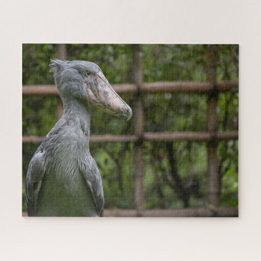 Shoebill (Balaeniceps rex) Legpuzzel (Horizontaal)