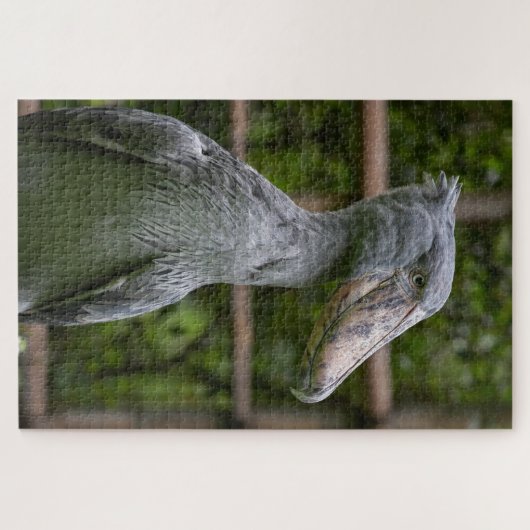 Shoebill (Balaeniceps rex) Legpuzzel (Horizontaal)
