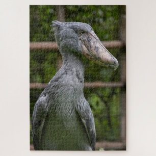 Shoebill (Balaeniceps rex) Legpuzzel