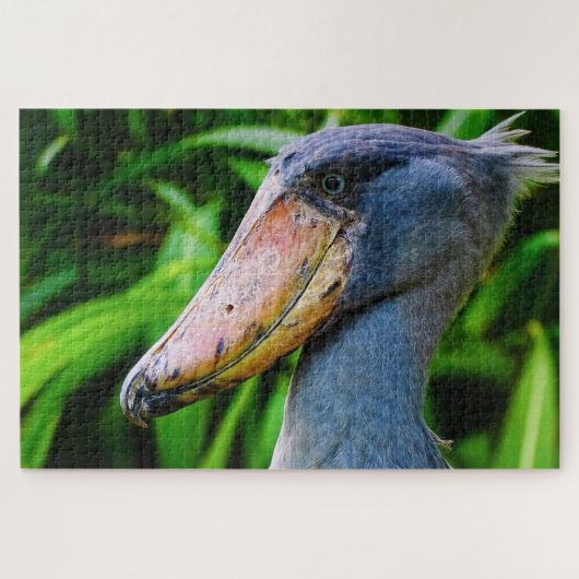Shoebill (Balaeniceps rex) Legpuzzel (Horizontaal)