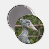 Shoebill (Balaeniceps rex) Magneet (Voorkant / Achterkant)