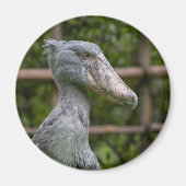 Shoebill (Balaeniceps rex) Magneet (Voorkant)