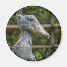 Shoebill (Balaeniceps rex) Magneet