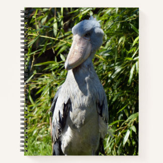 Shoebill (Balaeniceps rex) Notitieboek