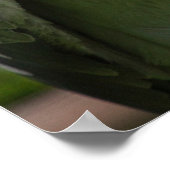 Shoebill (Balaeniceps rex) Poster (Hoek)