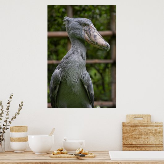 Shoebill (Balaeniceps rex) Poster (Keuken)