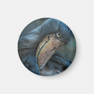 Shoebill Magneet