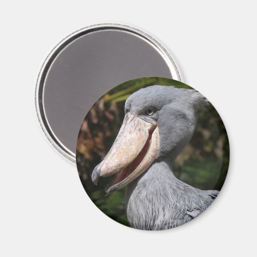 Shoebill Magneet (Voorkant / Achterkant)
