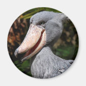 Shoebill Magneet (Voorkant)