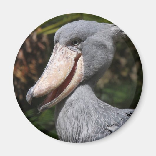 Shoebill Magneet (Voorkant)