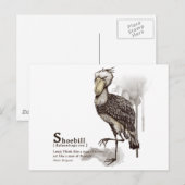 shoebill - mocha briefkaart (Voorkant / Achterkant)