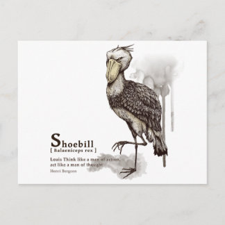 shoebill - mocha briefkaart