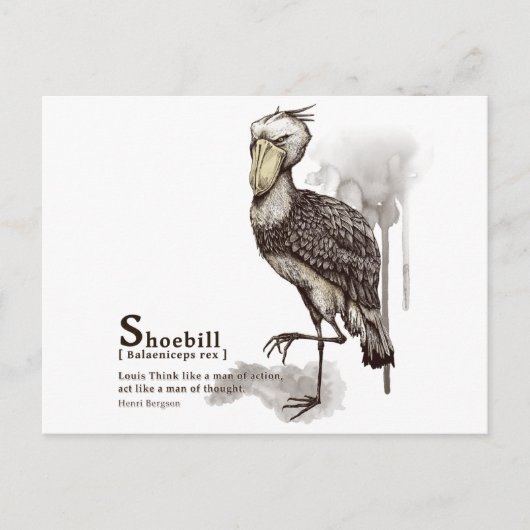 shoebill - mocha briefkaart (Voorkant)