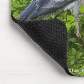 Shoebill Muismat (Hoek)