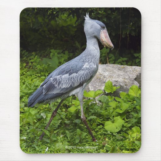 Shoebill Muismat (Voorkant)