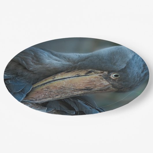 Shoebill Papieren Bordje (Gekanteld)