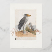 Shoebill Stork 1887 Print Zoologica Africa Folie Feestdagenkaart (Voorkant)