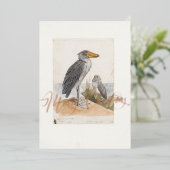 Shoebill Stork 1887 Print Zoologica Africa Folie Feestdagenkaart (Staand Voorkant)