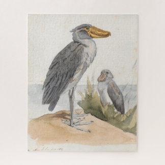 Shoebill Stork 1887 Print Zoölogisch Afrikaans Legpuzzel