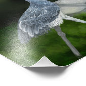 Shoebill Stork Bird Photo Print Foto Afdruk (Hoek)