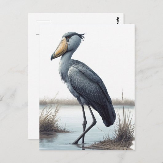 Shoebill Stork Briefkaart (Voorkant / Achterkant)