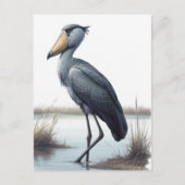 Shoebill Stork Briefkaart (Voorkant)