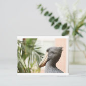 Shoebill Stork Briefkaart (Staand voorkant)