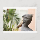 Shoebill Stork Briefkaart (Voorkant)