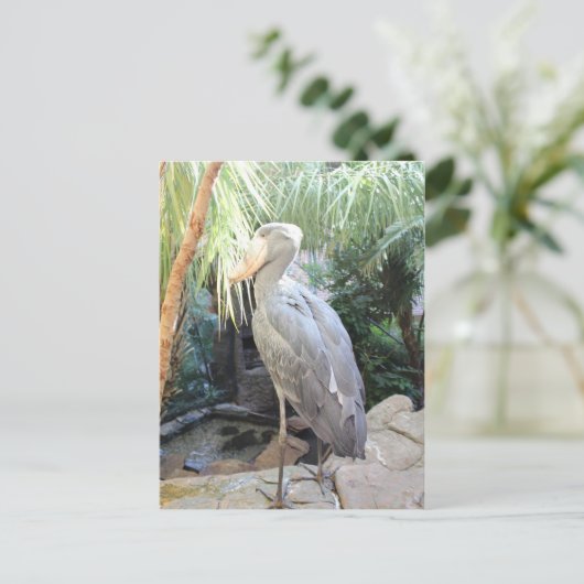 Shoebill Stork Briefkaart (Staand voorkant)