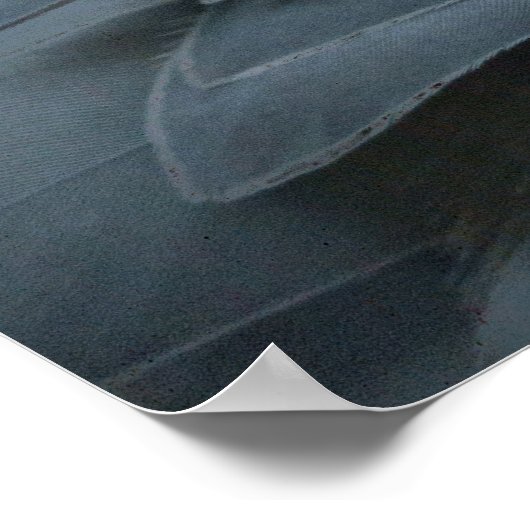 Shoebill's Charm Poster (Hoek)