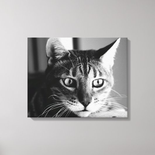 Shogun Bengal Cat Canvas Afdruk (Voorkant)