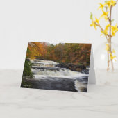 Shohola-Herfsten in het najaar (2) Kaart (Gele Bloem)