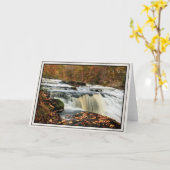 Shohola-Herfsten in het najaar Kaart (Gele Bloem)