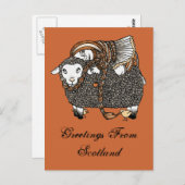 Shonaghs Sheep Briefkaart (Voorkant / Achterkant)