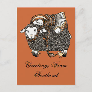 Shonaghs Sheep Briefkaart