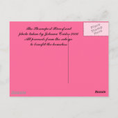 Shonthport Riverfront Briefkaart (Achterkant)